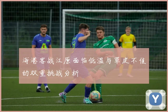海港客战江原面临低温与草皮不佳的双重挑战分析