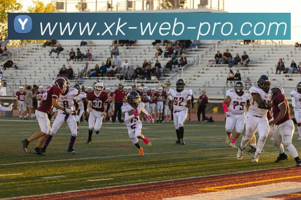 App Interface Preview