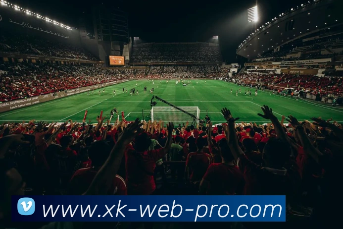 星空体育APP 封面图